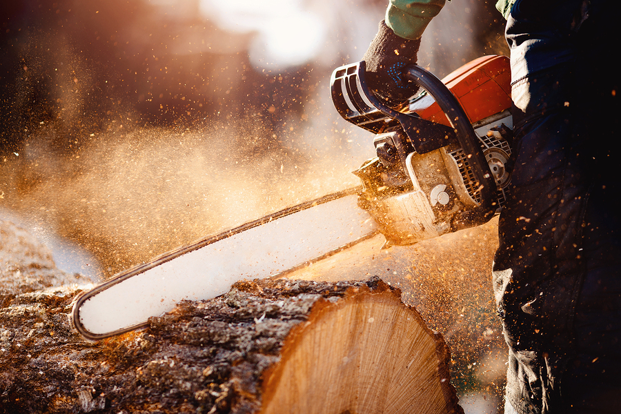 Espanola Chainsaw Rentals