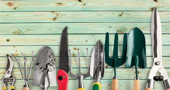 Gardening tools, all hand gardening tools, laying down on nice wooden background