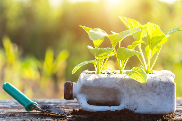 milk container garden - fun way to garden